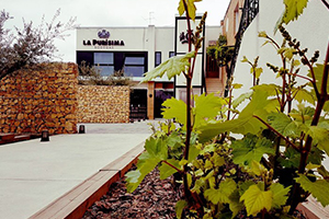 photo of the wine region around Murcia